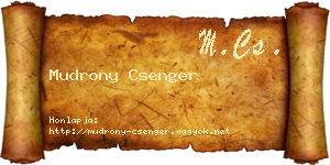 Mudrony Csenger névjegykártya